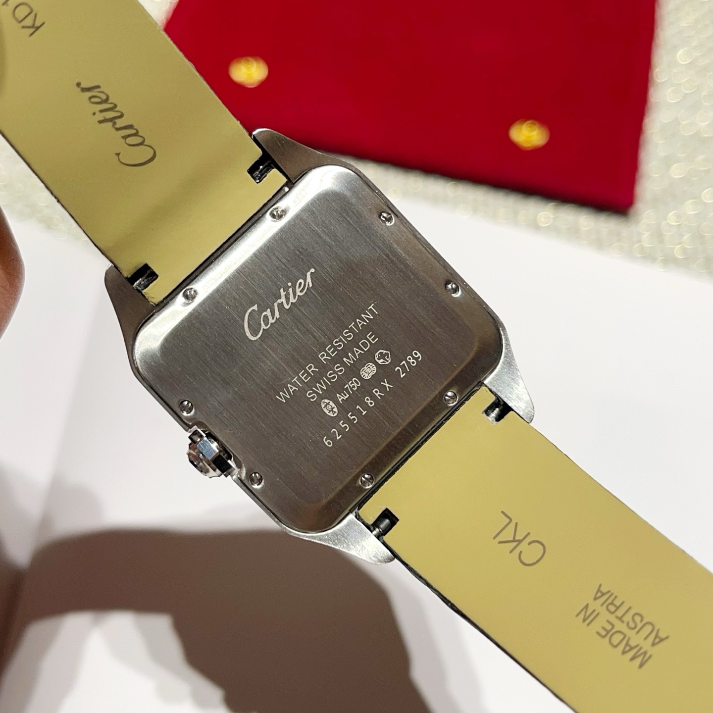 Cartier Santos-Dumont Male - Image 3