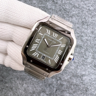 Cartier Santos De Cartier male