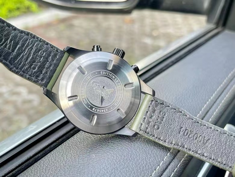 IWC pilot - Image 2