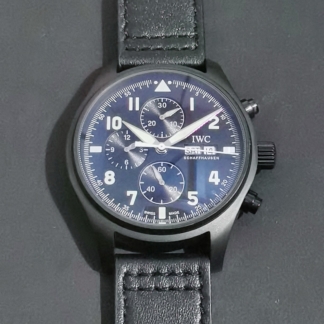 IWC pilot