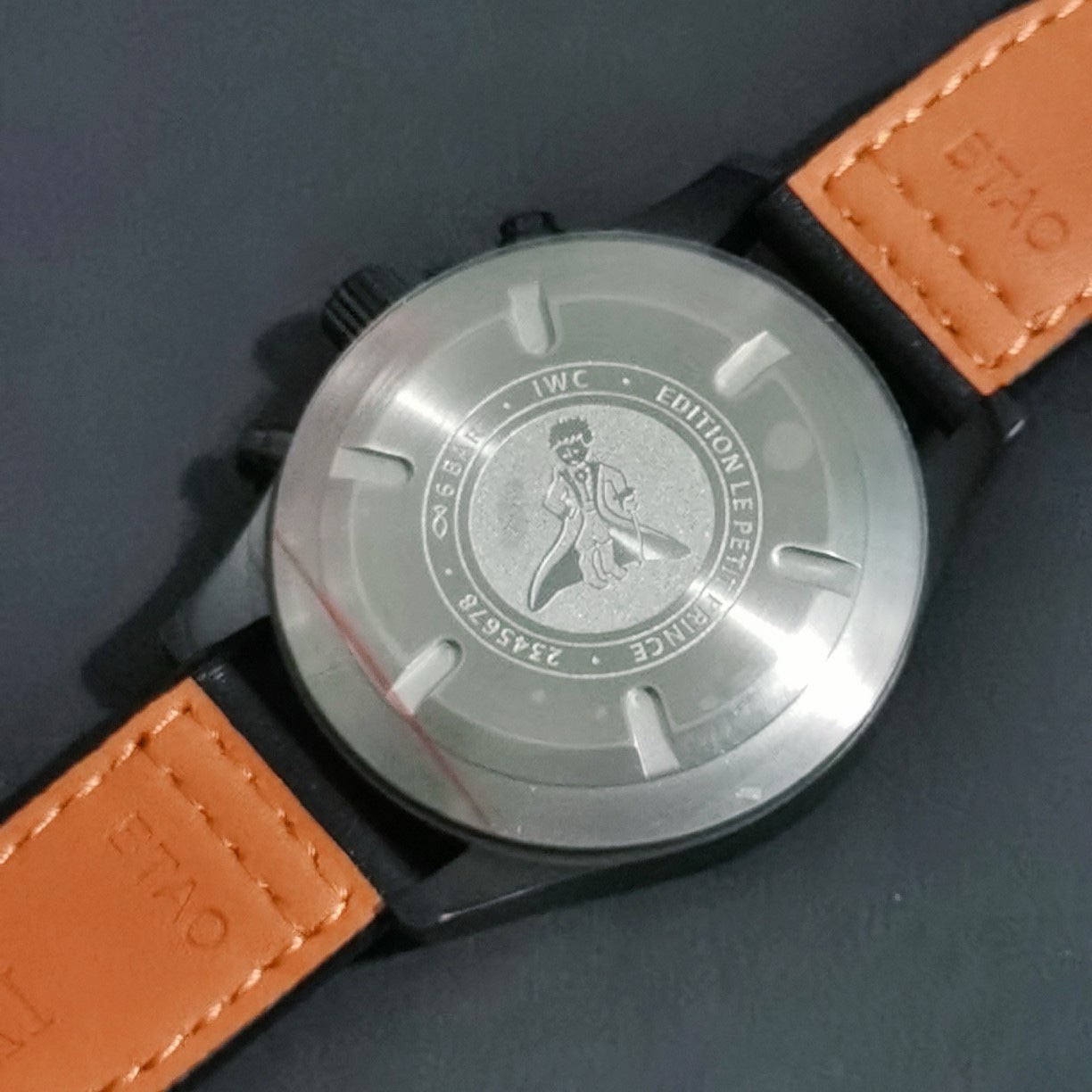 IWC pilot - Image 3
