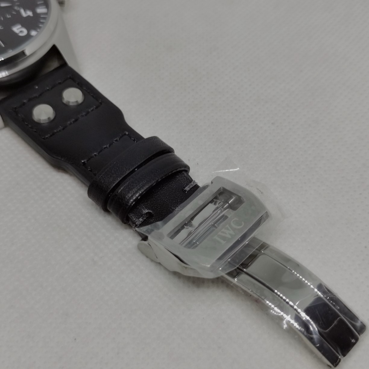 IWC pilot - Image 3