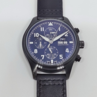 IWC pilot