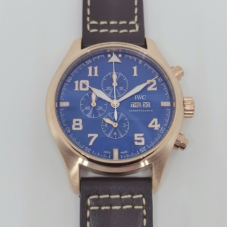 IWC pilot